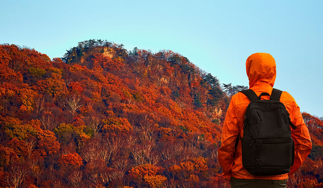Ponti autunnali e viaggi in Italia