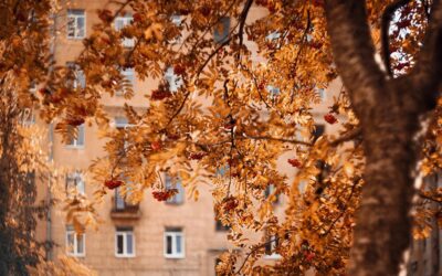 Foglie ovunque: gestire l’invasione autunnale negli hotel